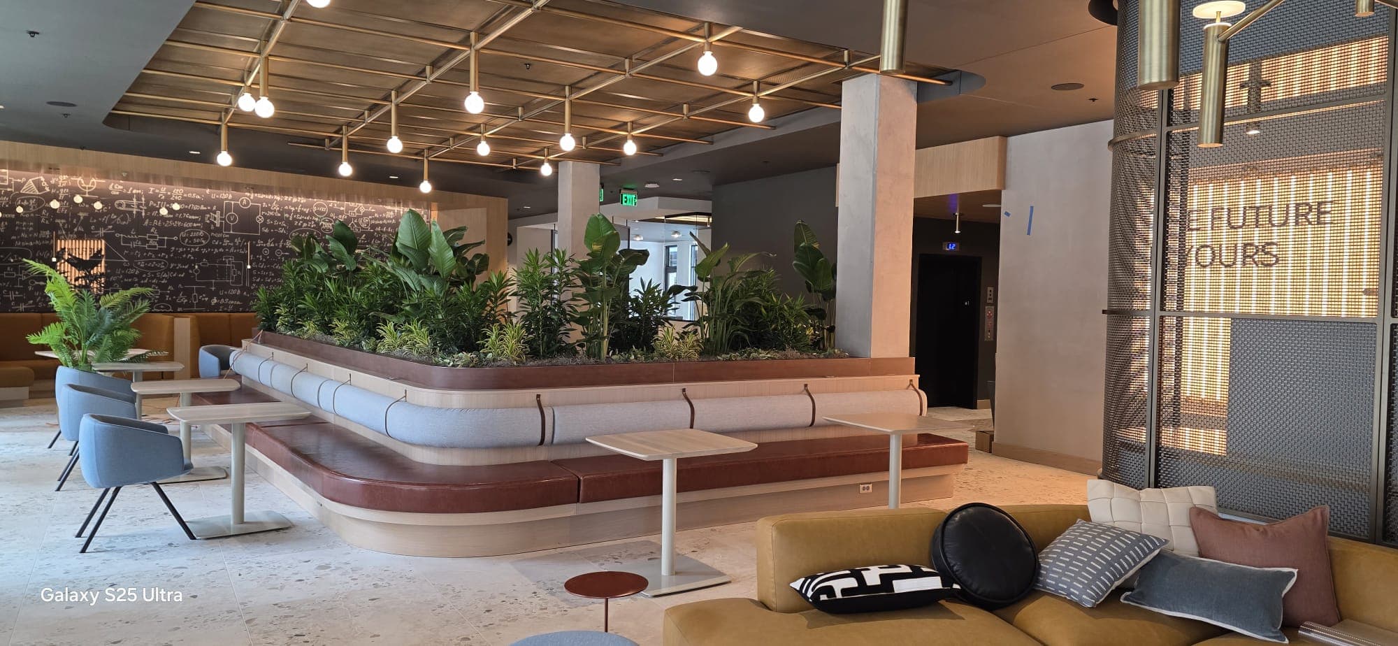 Modern lounge area with lush indoor plants, curved seating, and a chalkboard wall with equations.